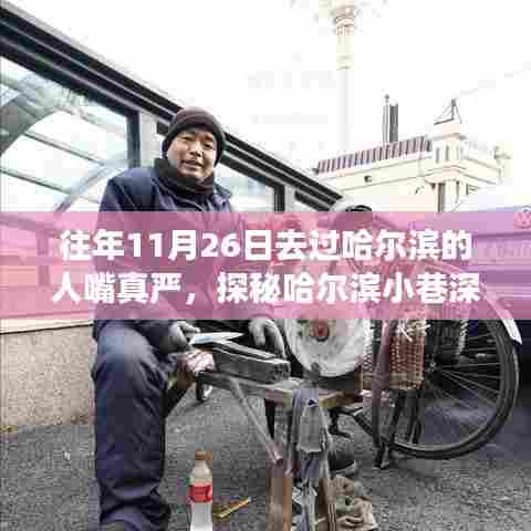 探秘哈尔滨小巷美食,揭秘独特风味,揭秘秘密美食店——11月26日的记忆