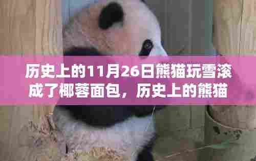 历史上的熊猫玩雪椰蓉面包制作与体验指南，熊猫滚出独特美味记忆！