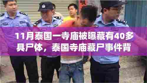 泰国寺庙藏尸事件揭秘,力量与奇迹时刻的背后