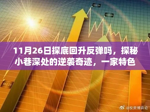 特色小店探底回升之旅，逆袭奇迹在小巷深处揭晓的探秘之旅