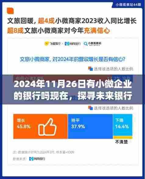 探寻未来银行格局，小微企业贷款的现状与展望（截至2024年11月26日）