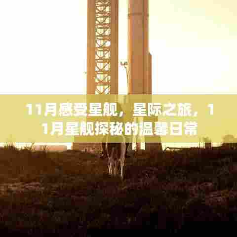 星际之旅探秘星舰，温馨日常的星际探索之旅（11月篇）