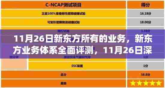 新东方业务体系全面评测,深度剖析日(11月26日)