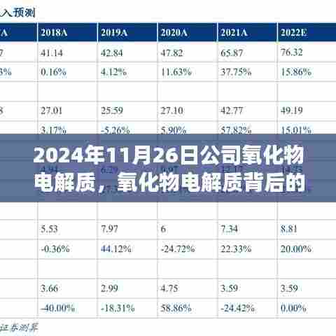 氧化物电解质背后的温馨日常,一场奇妙的友情之旅(公司氧化物电解质)