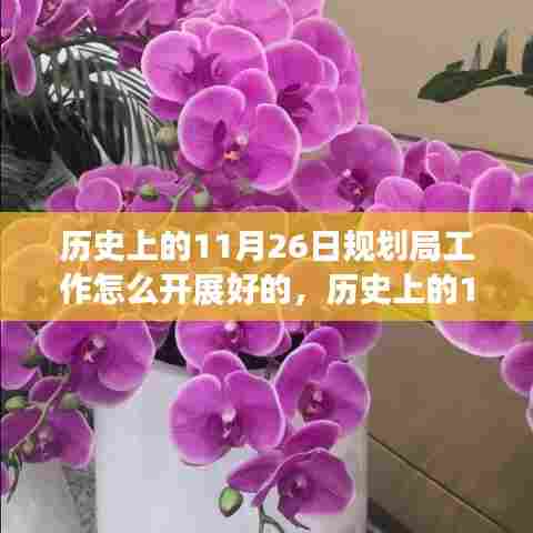 历史上的11月26日规划局工作怎么开展好的,历史上的11月26日,规划局如何开启一场心灵之旅,让自然美景成为工作的最佳灵感源泉