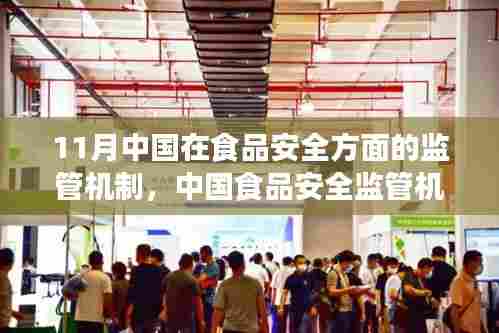 中国食品安全监管机制详解，从入门到精通的实操指南（涵盖初学者与进阶用户）
