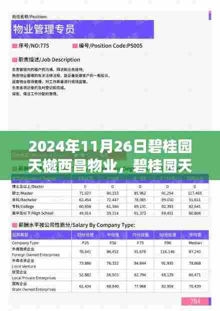 碧桂园天樾西昌物业全面解读与深度体验指南（2024年11月26日）