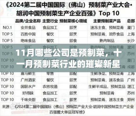 十一月预制菜行业新星闪耀,变革中的自信与成就力量