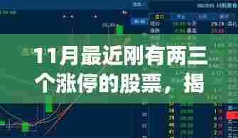 揭秘近期涨停股票背后的三大要点，深度解析涨停股票背后的秘密与趋势分析