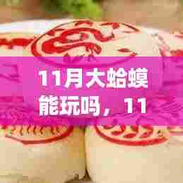 11月大蛤蟆的活跃季节与户外活动可行性探索