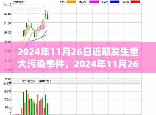 重大污染事件揭秘,原因、影响及应对策略(2024年11月26日)