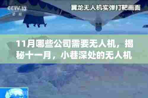 揭秘十一月无人机需求高峰，小巷深处的美食与隐藏商机
