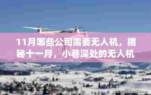 揭秘十一月无人机需求高峰,小巷深处的美食与隐藏商机