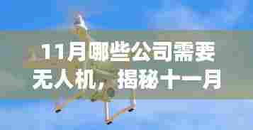 揭秘十一月无人机需求高峰,小巷深处的美食与隐藏商机