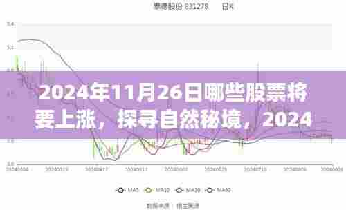 探寻自然秘境与股市上涨,揭秘2024年11月26日的股市行情与心灵之旅的交融时刻