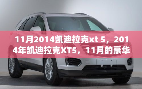 豪华之选,凯迪拉克XT5 2014年11月豪华SUV体验