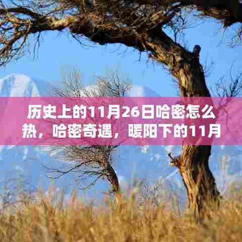 产品中心 第438页