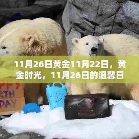 黄金时光下的温馨日常,黄金时光记忆录