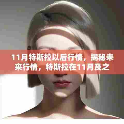 特斯拉未来行情揭秘,小红书带你洞悉11月及之后的动向