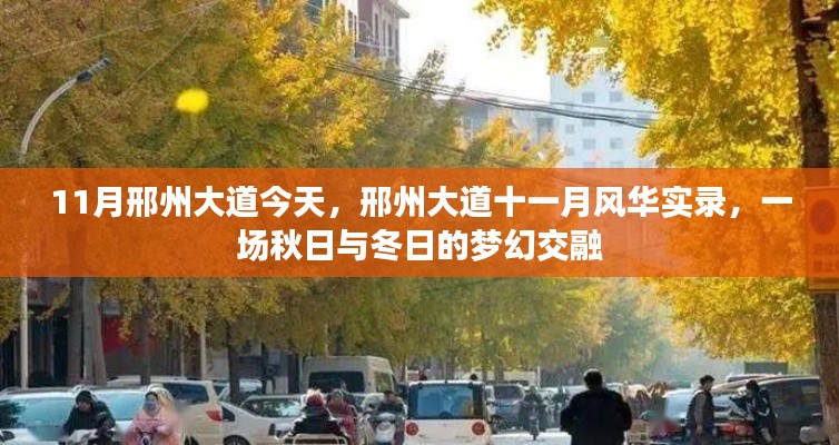 邢州大道十一月风华实录，秋日与冬日的梦幻交融之路