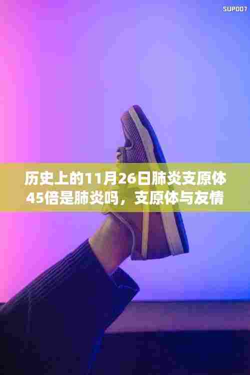 肺炎支原体与友情的交响，一场健康与陪伴的温馨历程（11月26日的历史回顾）