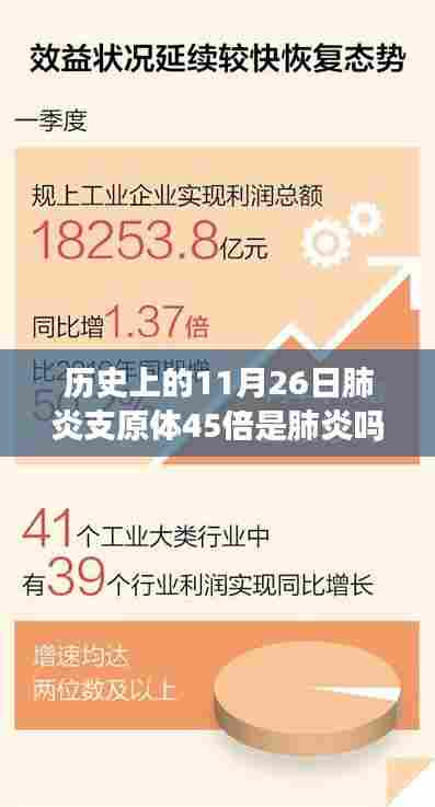 肺炎支原体与友情的交响,一场健康与陪伴的温馨历程(11月26日的历史回顾)