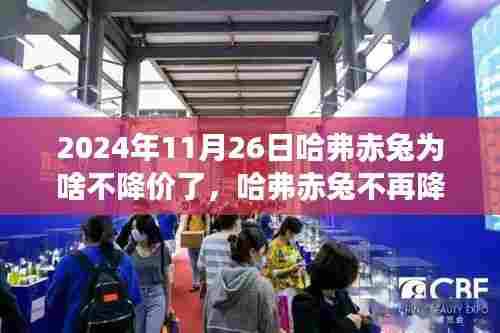 联系我们 第379页