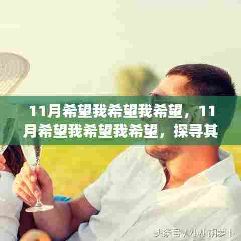 11月希望我希望我希望,11月希望我希望我希望,探寻其深层意义与个人观点