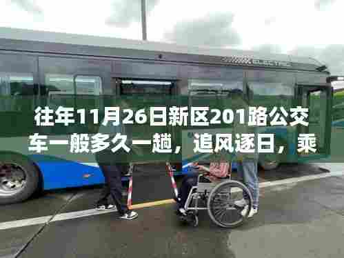 新区201路公交车,探寻自然美景的心灵之旅,追风逐日的时间表与美景体验之旅