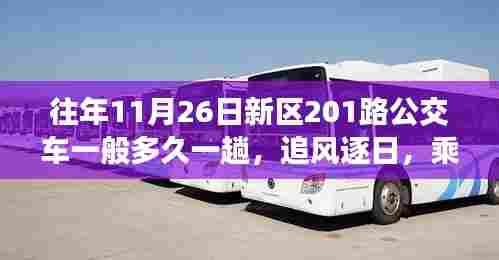 新区201路公交车,探寻自然美景的心灵之旅,追风逐日的时间表与美景体验之旅