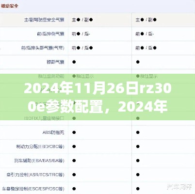 2024年11月26日RZ300E参数配置完全指南，从入门到精通