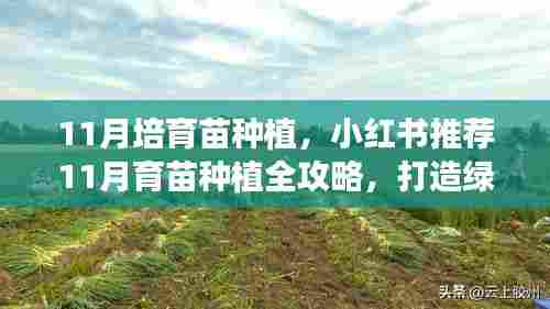 小红书推荐，11月育苗种植全攻略，打造绿意盎然的小天地！