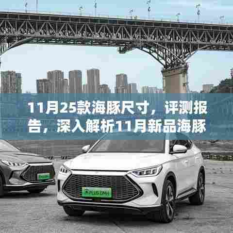 11月新品海豚尺寸深度评测，特性解析与实用体验报告