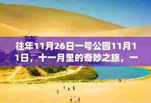 十一月奇妙之旅,一号公园的静谧探索与心灵之旅