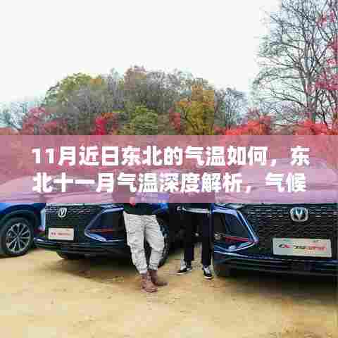 东北十一月气候深度解析,气温、气候特点、竞品对比与用户体验探讨