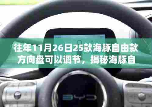 揭秘海豚自由款方向盘调节功能,三大要点深度解析,体验个性化驾驶体验调整之道!