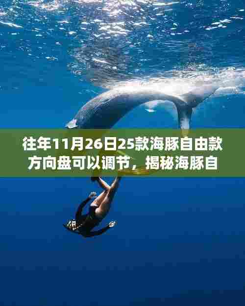 揭秘海豚自由款方向盘调节功能,三大要点深度解析,体验个性化驾驶体验调整之道!