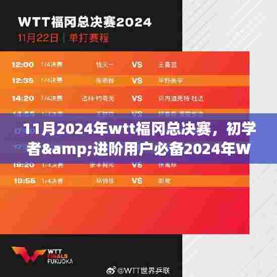 初学者与进阶用户必备,2024年WTT福冈总决赛观赛指南与任务攻略
