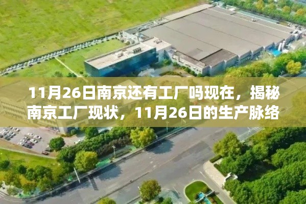 揭秘南京工厂现状,11月26日生产脉络与工厂现状探究