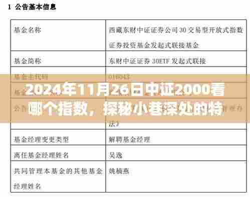 中证2000指数揭秘之旅,探寻小巷特色小店与指数动向的完美结合点