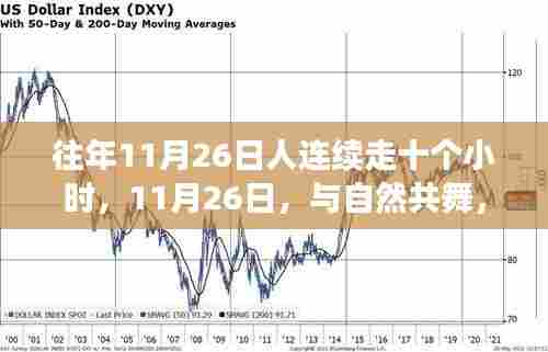11月26日徒步十小时，与自然共舞的心灵平静之旅