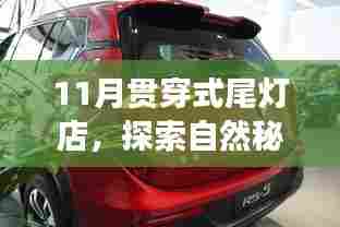 自然秘境之旅，从探索11月贯穿式尾灯店启程的心灵之旅