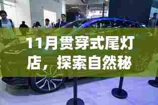 自然秘境之旅,从探索11月贯穿式尾灯店启程的心灵之旅