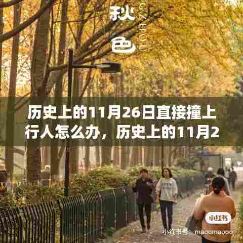 历史上的11月26日交通事故应对指南,撞见行人如何处理?小红书给你冷静应对建议