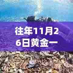 探秘黄金宝藏店，市场走势与独特消费体验揭秘，黄金价格历年走势分析