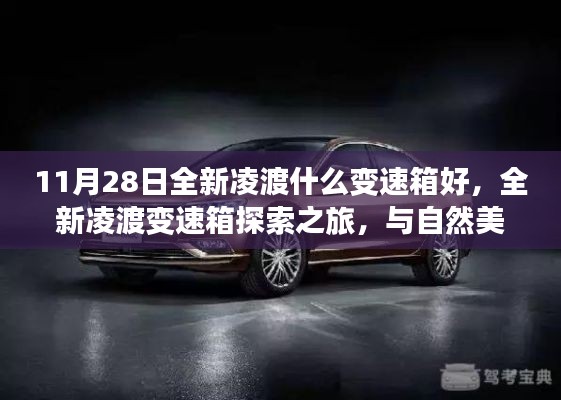 全新凌渡变速箱探索之旅,与自然共舞,心灵的宁静港湾,变速箱选择指南