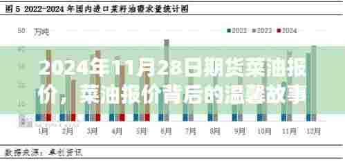 友情与陪伴背后的菜油报价，秋日记忆与期货行情分析（2024年11月28日）