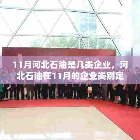 河北石油在11月的企业类别定位探讨,究竟属于哪一类企业?