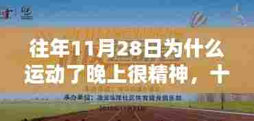 精神焕发之夜,十一月二十八日的运动历史回望与夜间活力之源
