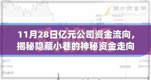 揭秘特色小店的逆袭之路,神秘资金走向揭示,亿元资金流向追踪报道